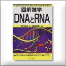 DNAとRNA 1260円